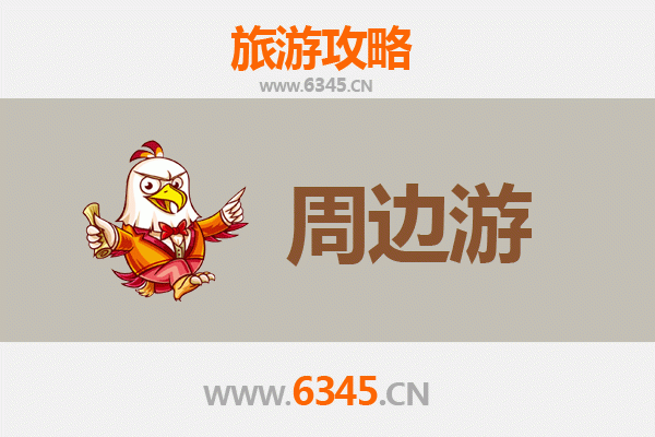武汉江岸深度游：历史风情与都市慢生活完美融合